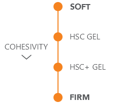 Cohesivity Scale