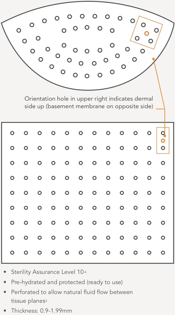 SimpliDerm diagram